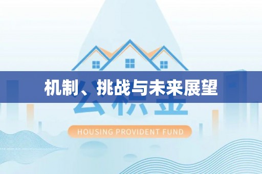 囊谦机制、挑战与未来展望